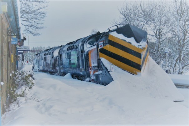 From Outpost North RSPB